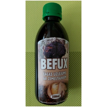 Čagas uzlējums ar zemestauku sulu BEFUX 250ml