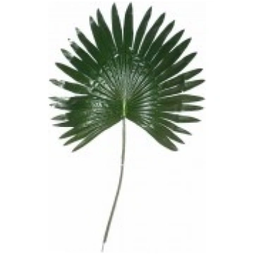 Mākslīga palmas lapa 70cm S3047 S3047