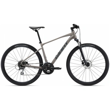 Kross velosipēds Giant Roam 3 Disc Metal (C)