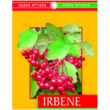 Irbene