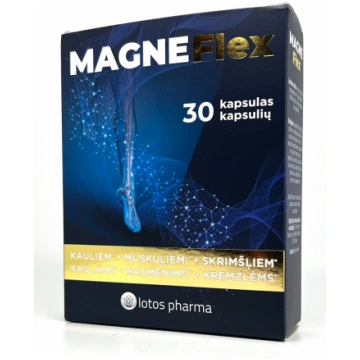 MAGNEFlex kapsulas N30