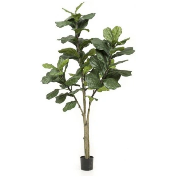Lietots - Ficus Lyrata mākslīgais augs 180cm