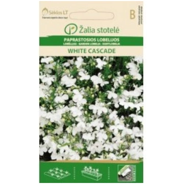 LOBĒLIJAS WHITE CASCADE ŽALIA STOTELĖ