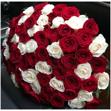 101 sarkanbalta roze