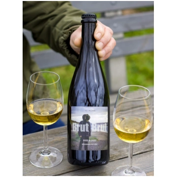 Brut Brut, dabīgi dzirkstošs, sauss sidrs