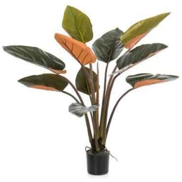 Lietots - Philodendron green/orange 120cm