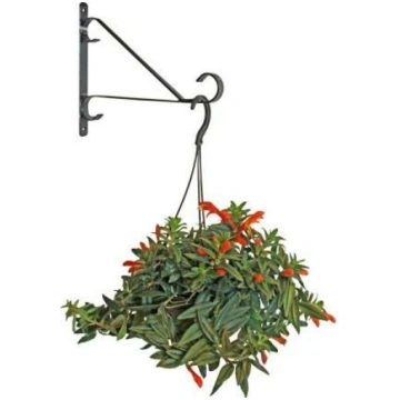 Besk Puķu poda turētājs sienas 9039380, 25,4cm, kr