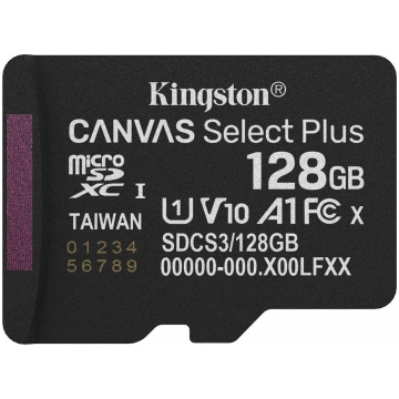 Kingston Canvas Select Plus - flash memory card - 
