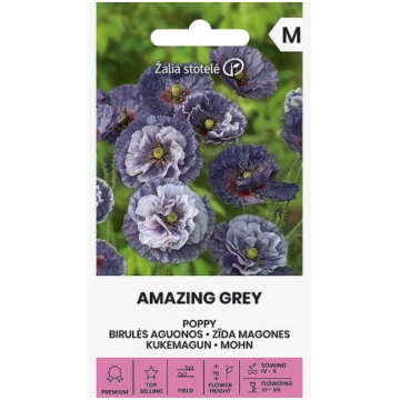 Magone zīda AMAZING GREY, 0,3 grami