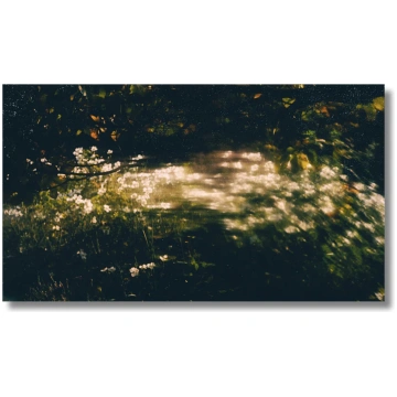 Perleverroterie. Pastkarte, "Jardin", 2025 ISSP