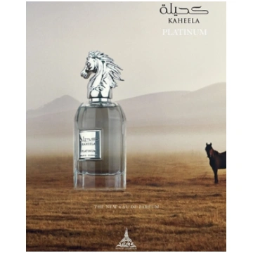 Paris Corner Kaheela Platinum Perfume EDP 85 ml 62