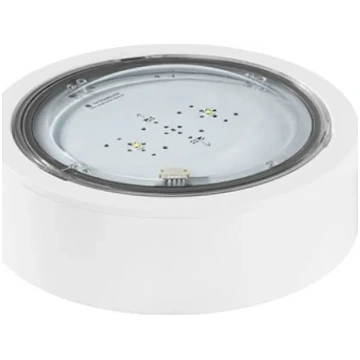 TM TECHNOLOGIE LED Emergency Luminaire 2W 3h iTech