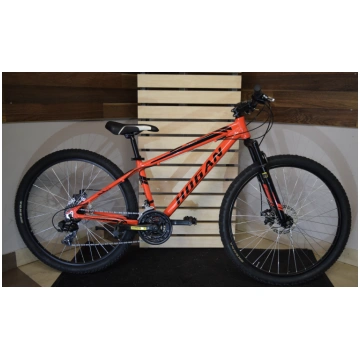 velosipēds Hogan classic II Hogan pro II
