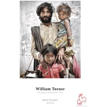 William turner 310