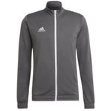 Adidas Entrada 22 Track Jacket - grey