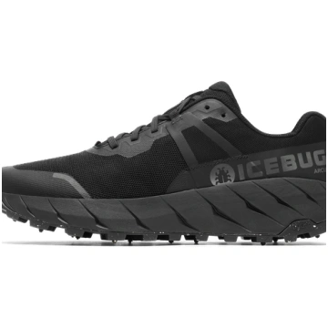 US 13 Icebug