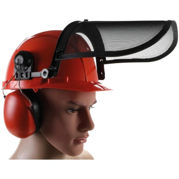 Safety Helmet | with Visor and Ear Protection (364