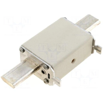 Fuse: fuse | gG | 80A | 500VAC | 220VDC | ceramic,