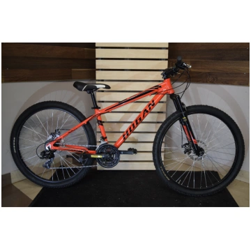velosipēds Hogan classic Hogan pro