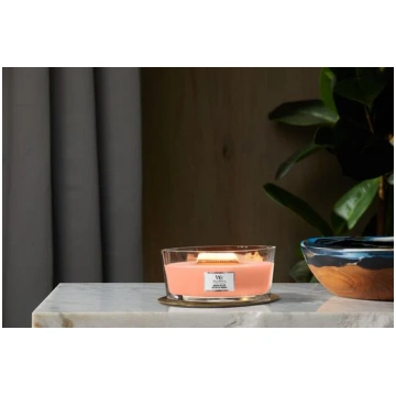 Woodwick - Candella Ellipse Manuka Nectar