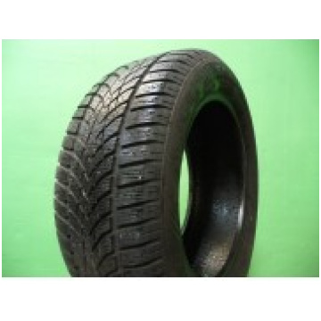 dunlop winter sport 4d