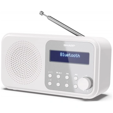 Sharp DR-P420(WH) Tokyo Portable Digital Radio, FM
