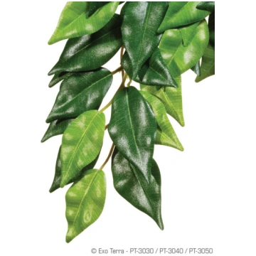 Exo Terra Silk Plant Ficus Small PT3030