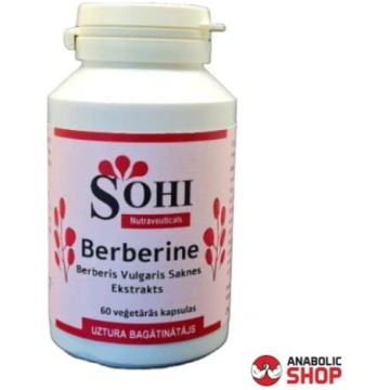 SOHI Berberine Vulgaris extract 500 mg Berberīns 9