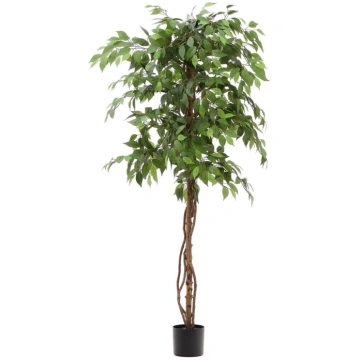 Mākslīgais fikuss (augstums 180 cm) Ficus – Kave H