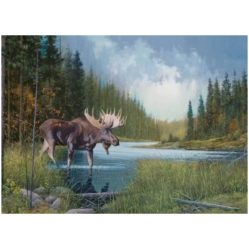 Puzzle Laird: Moose lake Cobble Hill