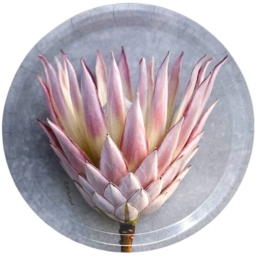 Light Grey King Protea Round Melamine Tray Light H