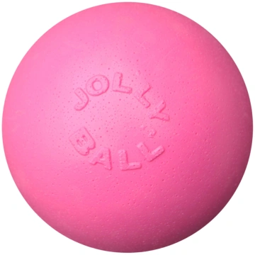 Jolly Pets - Ball Bounce-n Play - 20cm - Pink (Bub