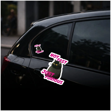 NOT FAST, JUST FURIOUS - Printed Vinyl Sticker Le 