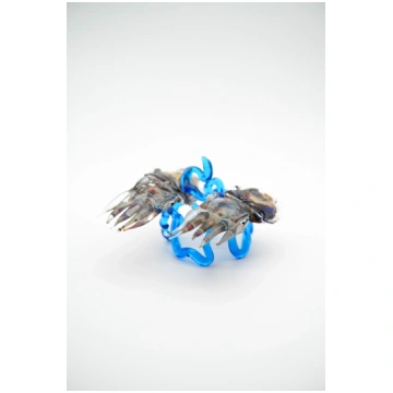 Double cuttlefish on base Gienne Jesolo