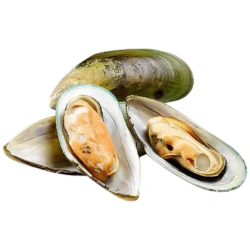 Zaļās mīdijas, 20/30, pusītes, saldētas, 800g