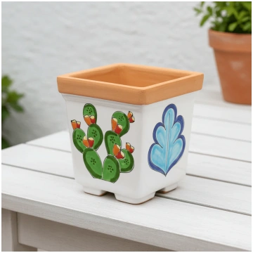 Square Ficus plant pot Collezione DeSimone