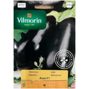 Baklažāni AVAN F1 500 mg Vilmorin A.P