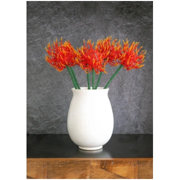 Beaded Pincushion Protea MLFA