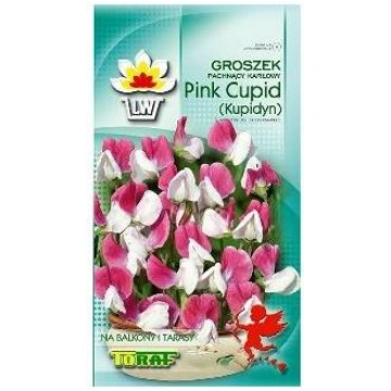 Puķzirnīši zemie Pink Cupid 2g 5907595508001