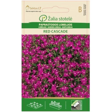 LOBĒLIJAS RED CASCADE Žalia stotelė
