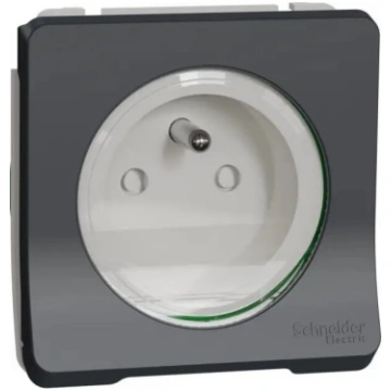Rozetes mehānisms 2P+PE Schneider Electric Mureva 