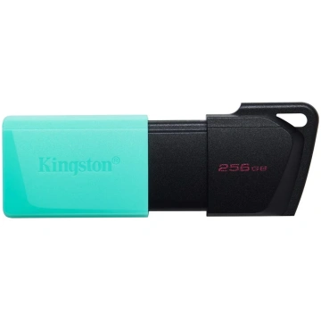 Kingston Exodia 256GB USB 3.2.Teal DTXM/256GB