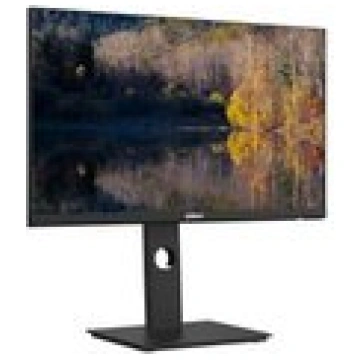 LCD Monitor | DAHUA | DHI-LM24-P301A | 23.8" | 256