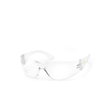 Aizsargbrilles caurspīdīgas Vision V110 Active Gea