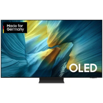 SAMSUNG GQ55S95FATXZG, OLED TV - 55 - black/silver