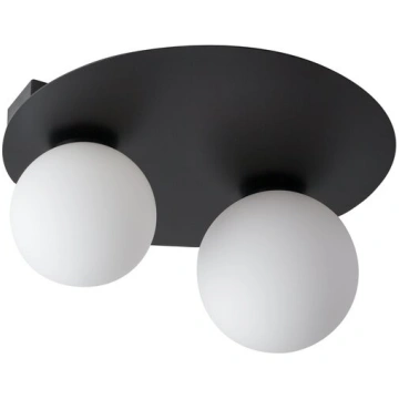 Griestu lampa Argon 33267 Sigma