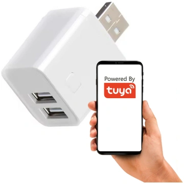 Viedais mini slēdzis USB adapteris 2 porti 5–12V Z