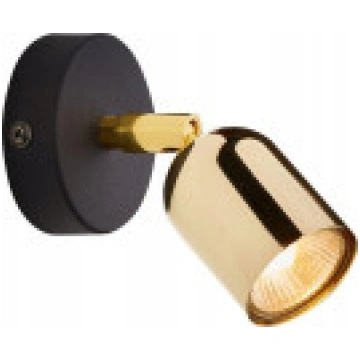 Sienas lampa TKKRYWULT Tk Lighting Top 6030 sienas