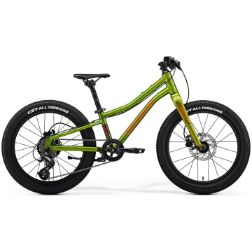 Bicycle Merida MATTS J.20+ I2 FALL GREEN(RED/BLACK