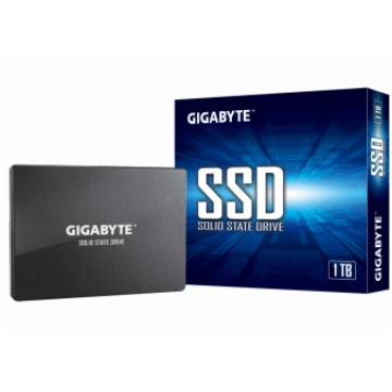 Gigabyte SSD 1TB (GP-GSTFS31100TNTD)